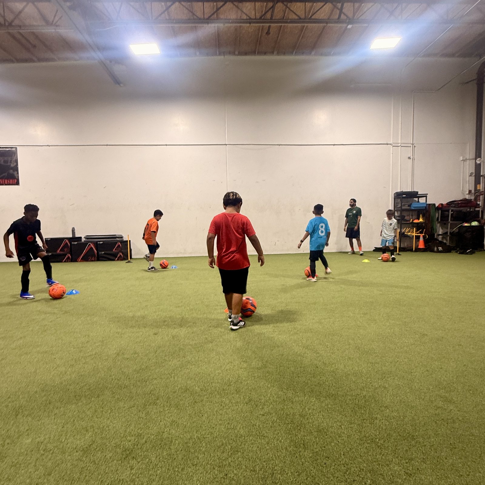 Skills & Development